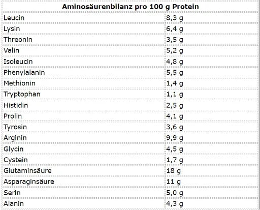 More Nutrition Total Vegan Protein 600g