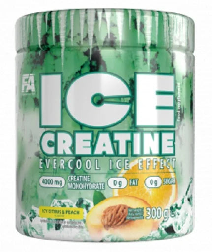 FA Nutrition ICE Creatine 300g - Reinmark-Shop