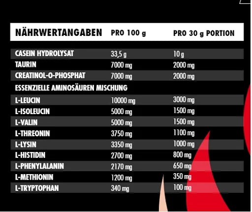 Big Zone In:fuse Intra Workout 600g - Blaubeere - Reinmark-Shop