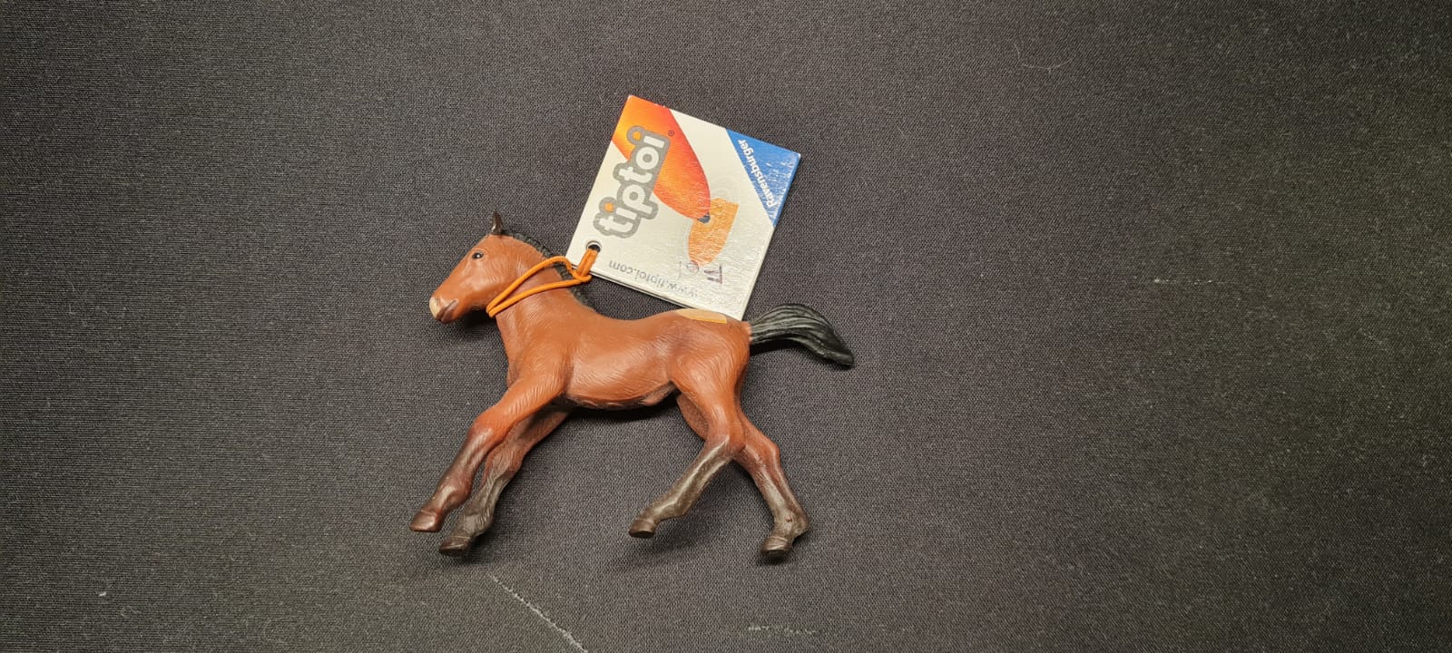 Tiptoi Tiere - Reinmark-Shop